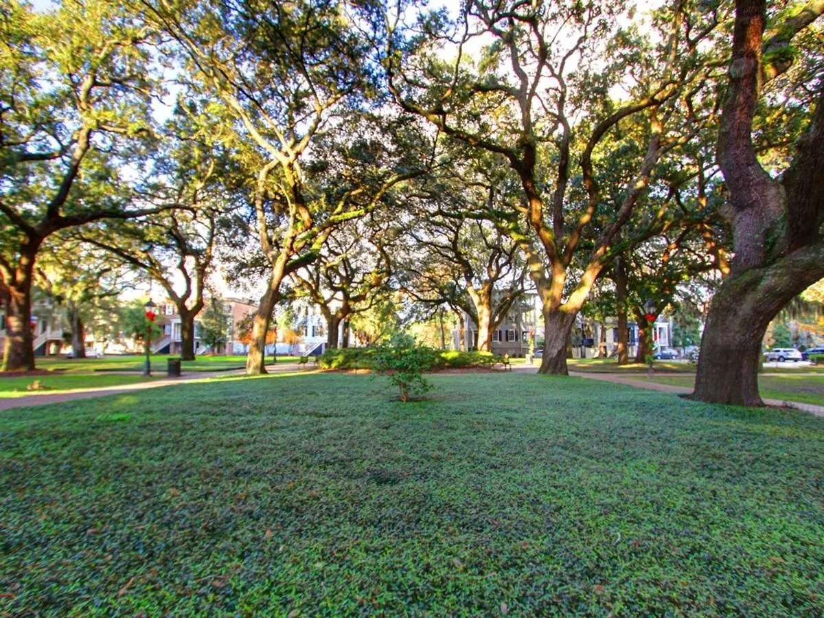 Bird Baldwin Parlor Villa Savannah Holiday home